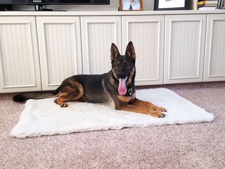 Redline K9 Double Layer Sherpa Dog Bed