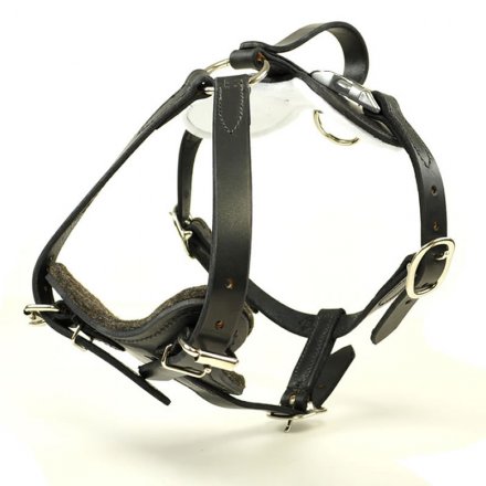 Redline k9 best sale collar