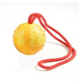 Redline K9 Ball on Rope