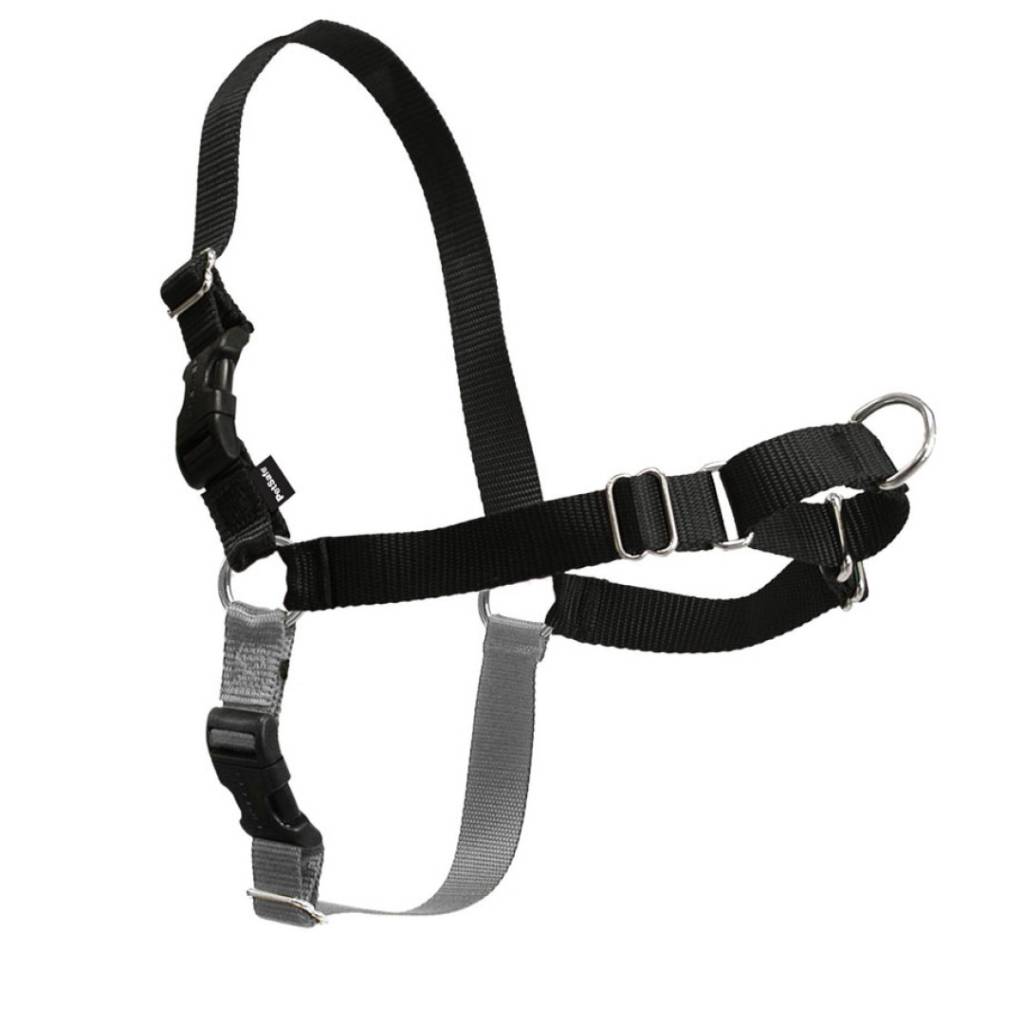 Pet Safe Easy Walk Harness Black