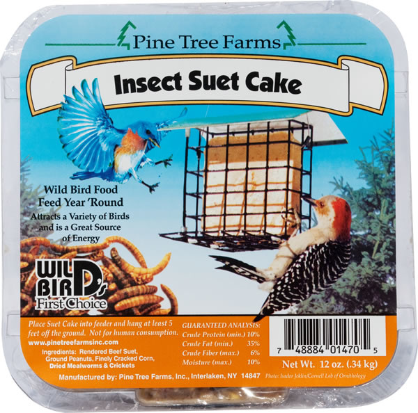 Pine Tree Insect Suet 340g