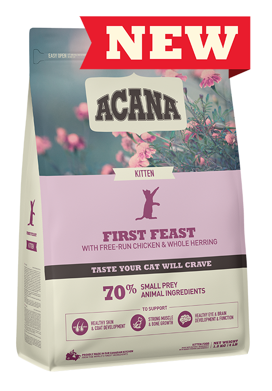 Champion Acana Cat First Feast 1.8kg
