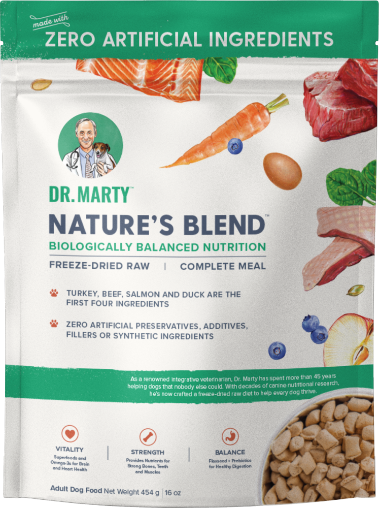 Dr Marty Dr Marty Nature's Blend Original FD Raw