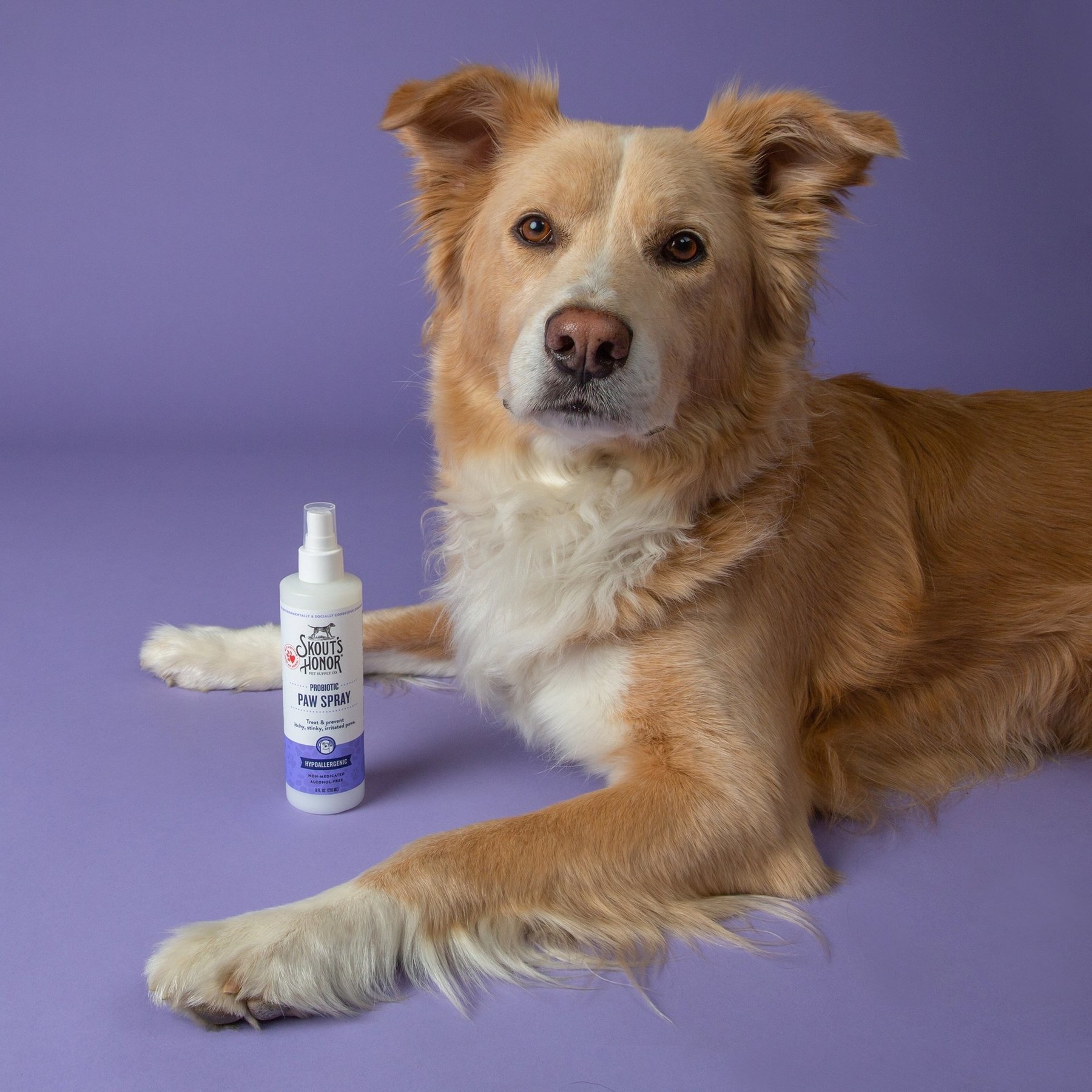 Skout's Honor Probiotic Paw Spray 8oz