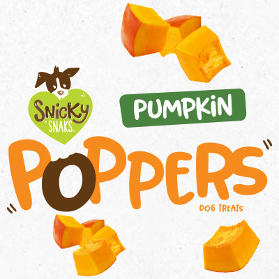 Treat Planet Snicky Snaks Pumpkin Poppers 10oz