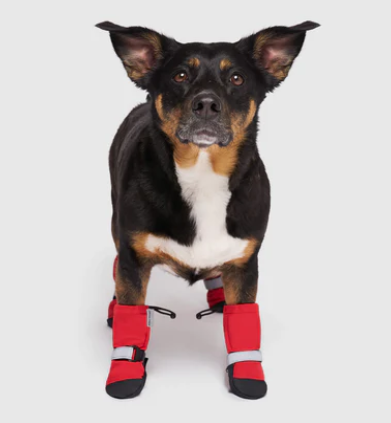 Canada Pooch Soft Shield Boots Red
