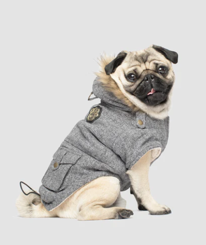 Canada Pooch Alaskan Army Parka Salt & Pepper