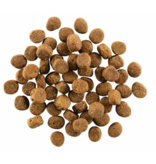 Petcurean Go Carnivore Grain Free Salmon & Cod 22lb
