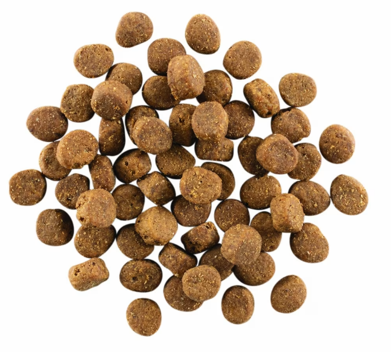Petcurean Go Carnivore Grain Free Salmon & Cod 22lb