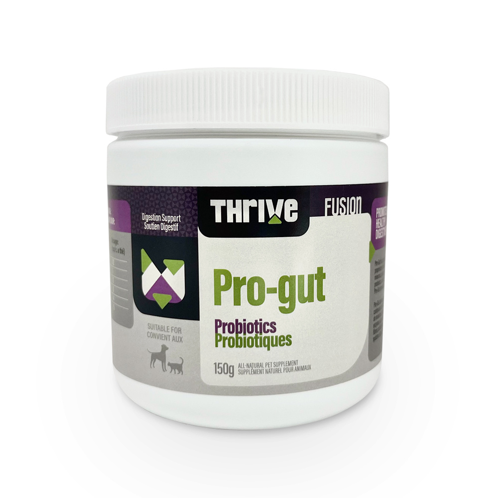 Thrive Thrive Pro-Gut 150g