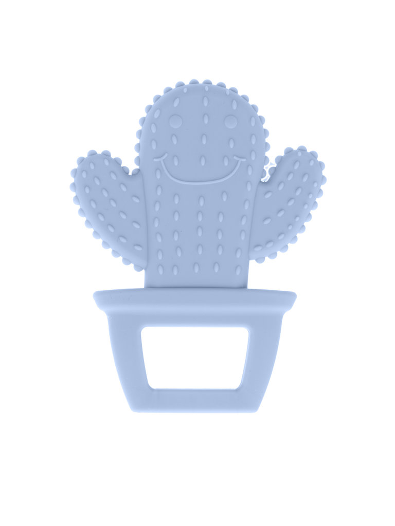 Pastel Cactus Teether