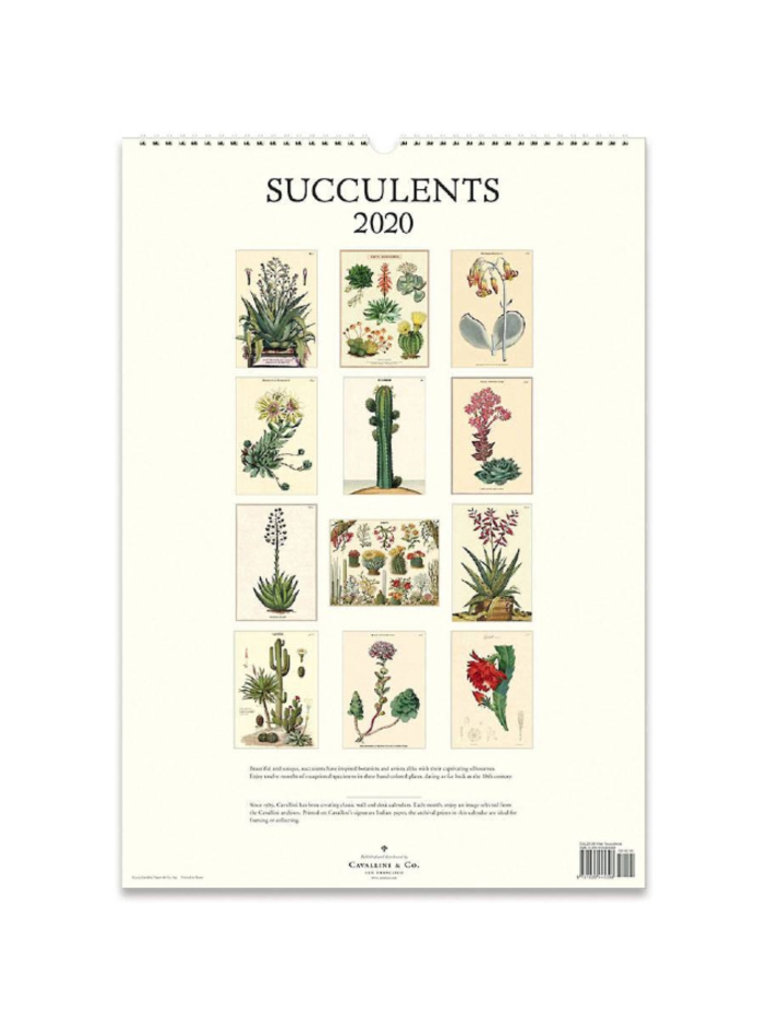 Succulent Wall Calendar 2020 Best Succulent Ideas