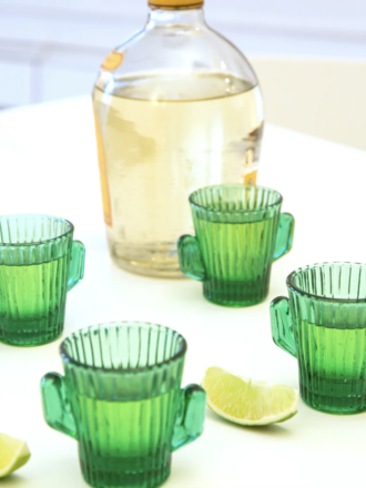 Cactus Shot Glasses Set
