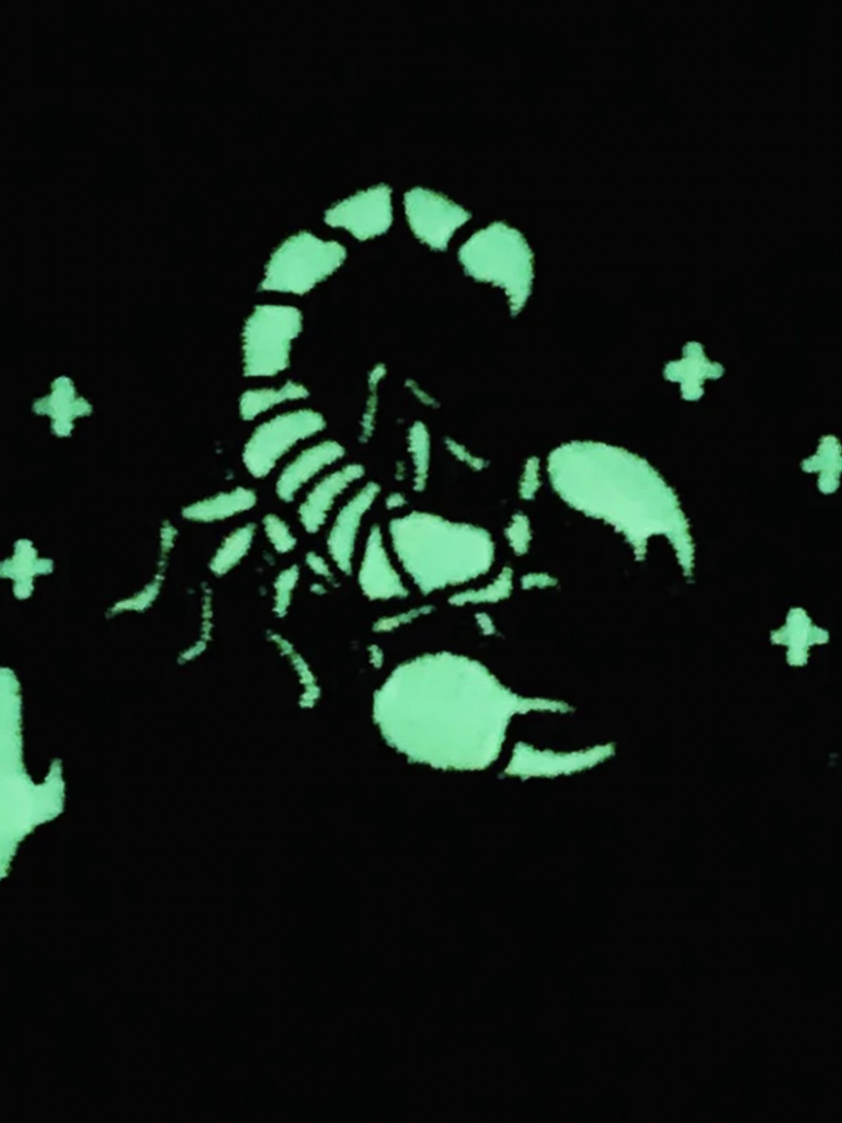 Under Every Stone Scorpion Trucker Hat - Black