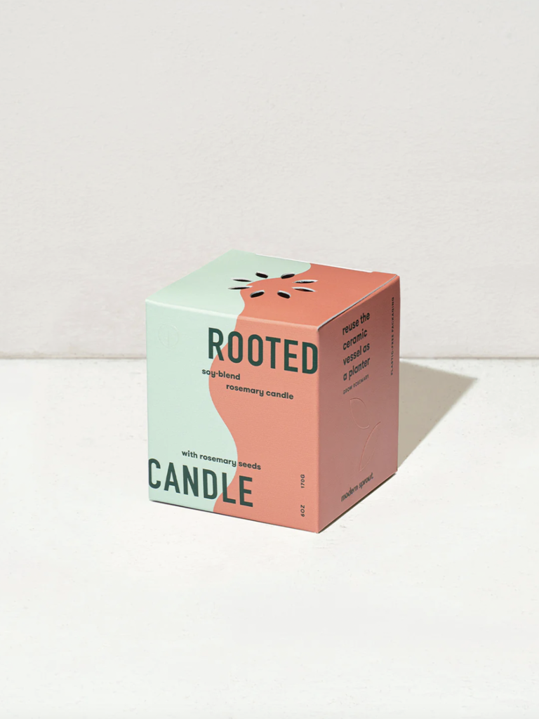 Rooted Candle