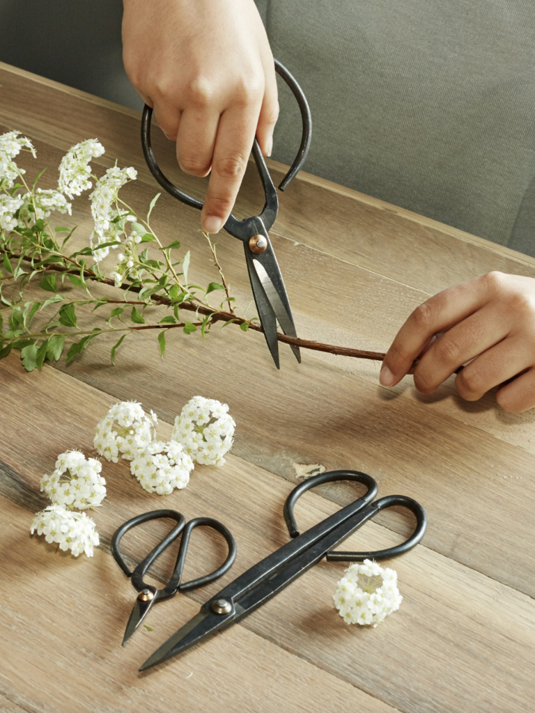 Mini Garden Shears Set
