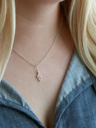 Snake Charm Necklace - Silver Snake Charm Necklace - Silver