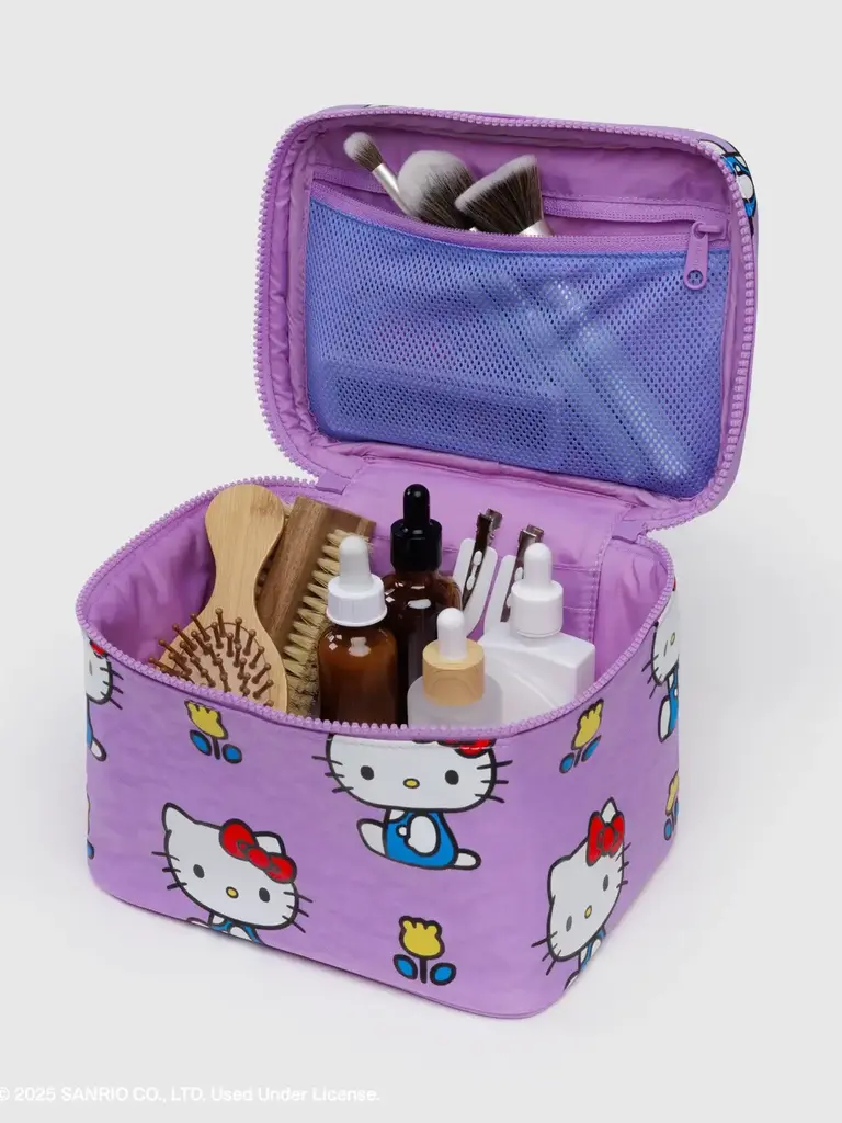 Large Cosmetic Case