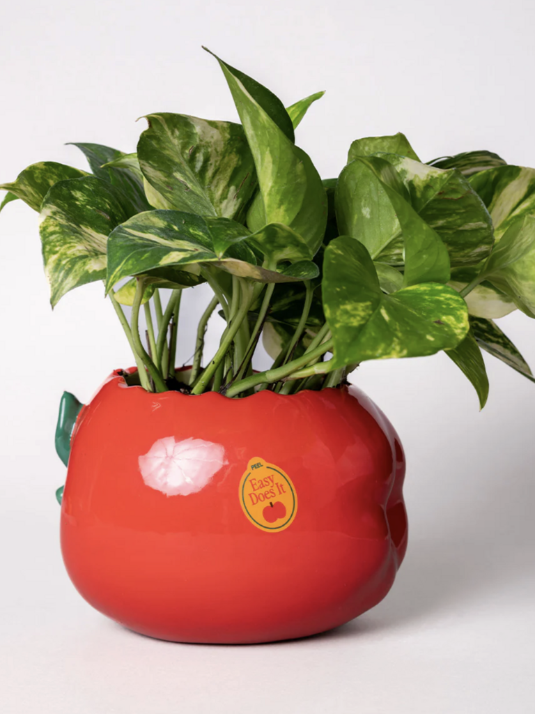Apple Planter/Pencil Cup