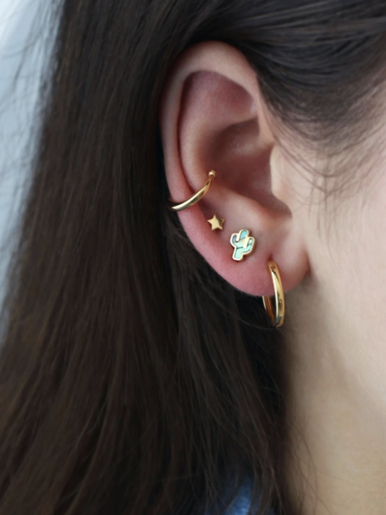 Abalone Cactus Studs