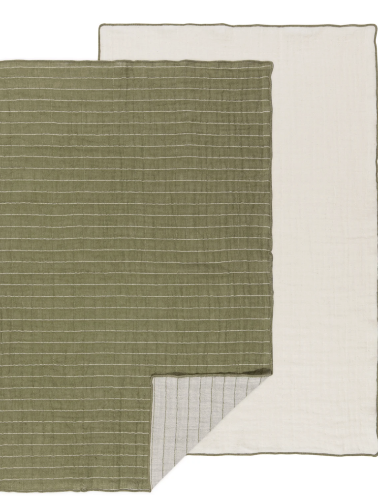 Double Weave Dishtowel Set/2 - Olive