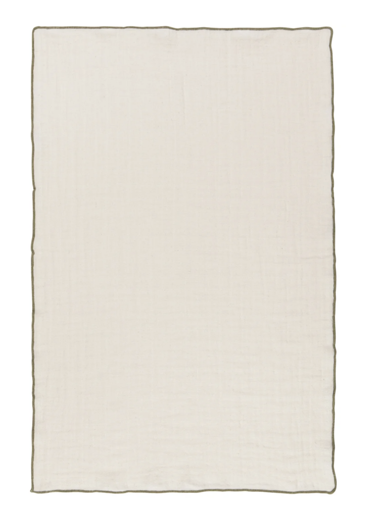 Double Weave Dishtowel Set/2 - Olive