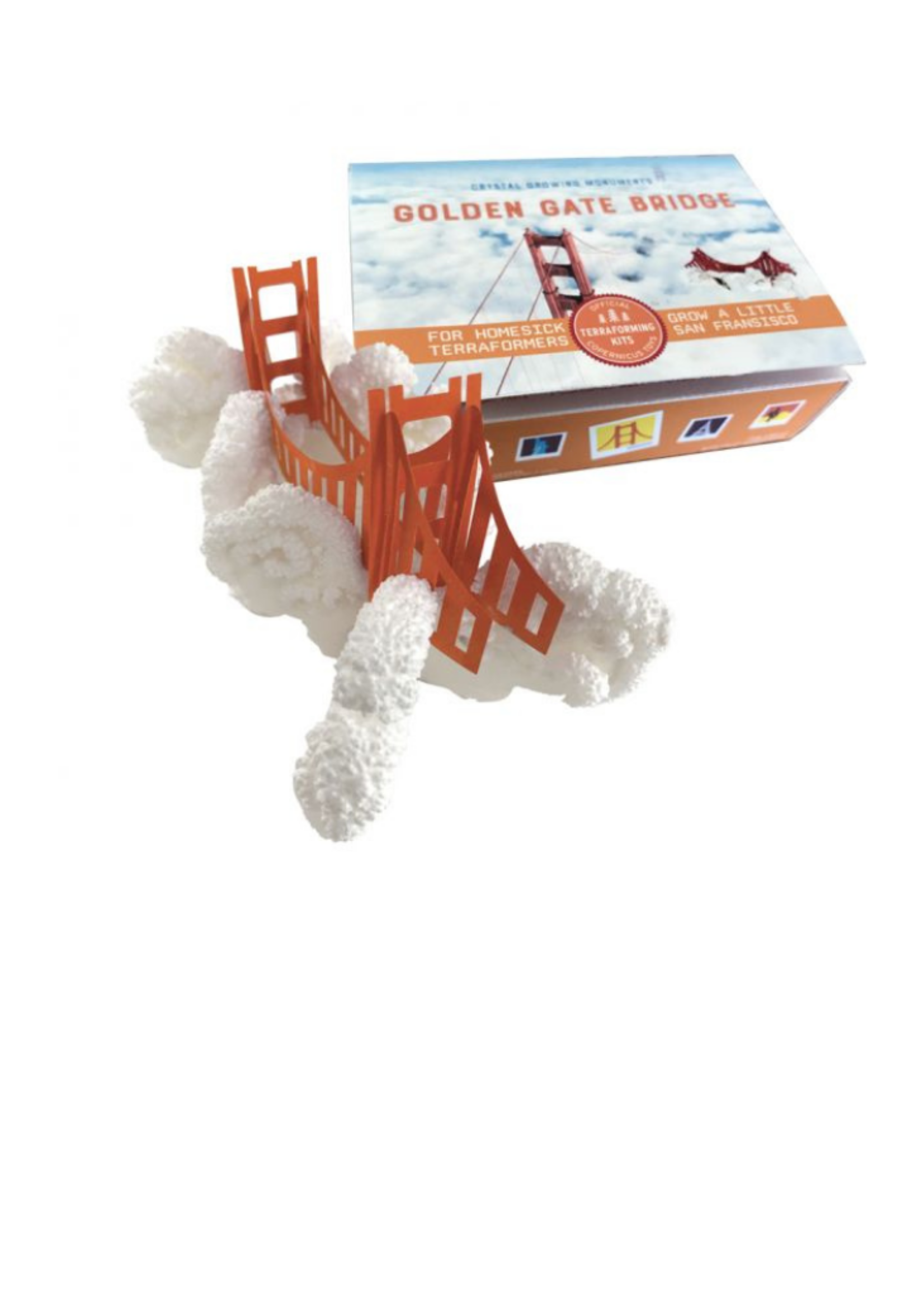 Copernicus Toys Crystal Growing Golden Gate Bridge