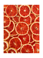 FreshDried FreshDried - Cocktail Garnish - Dried Citrus Wheels: Grapefruit