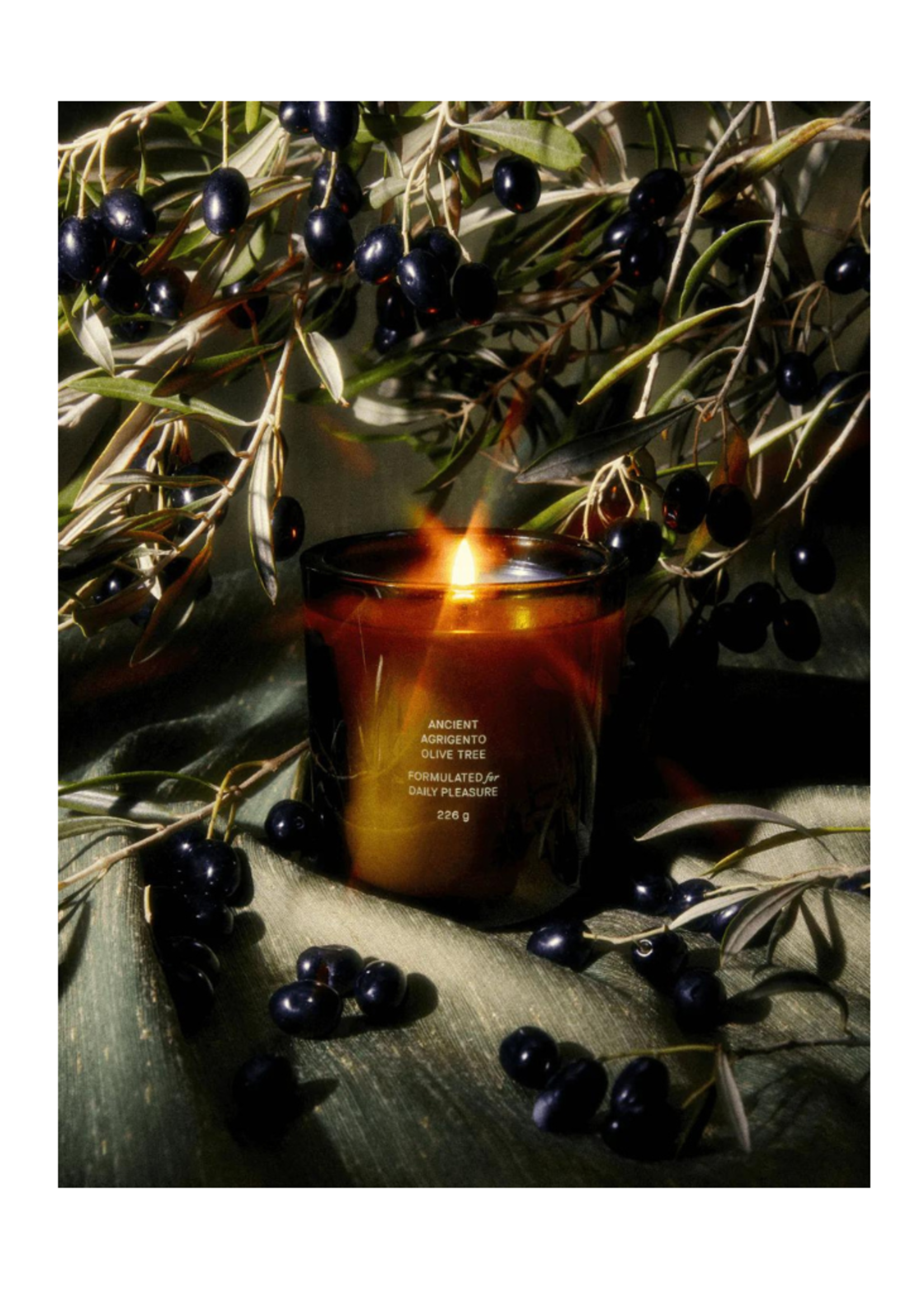 Flamingo Estate Flamingo Estate - Ancient Agrigento Olive Tree Candle