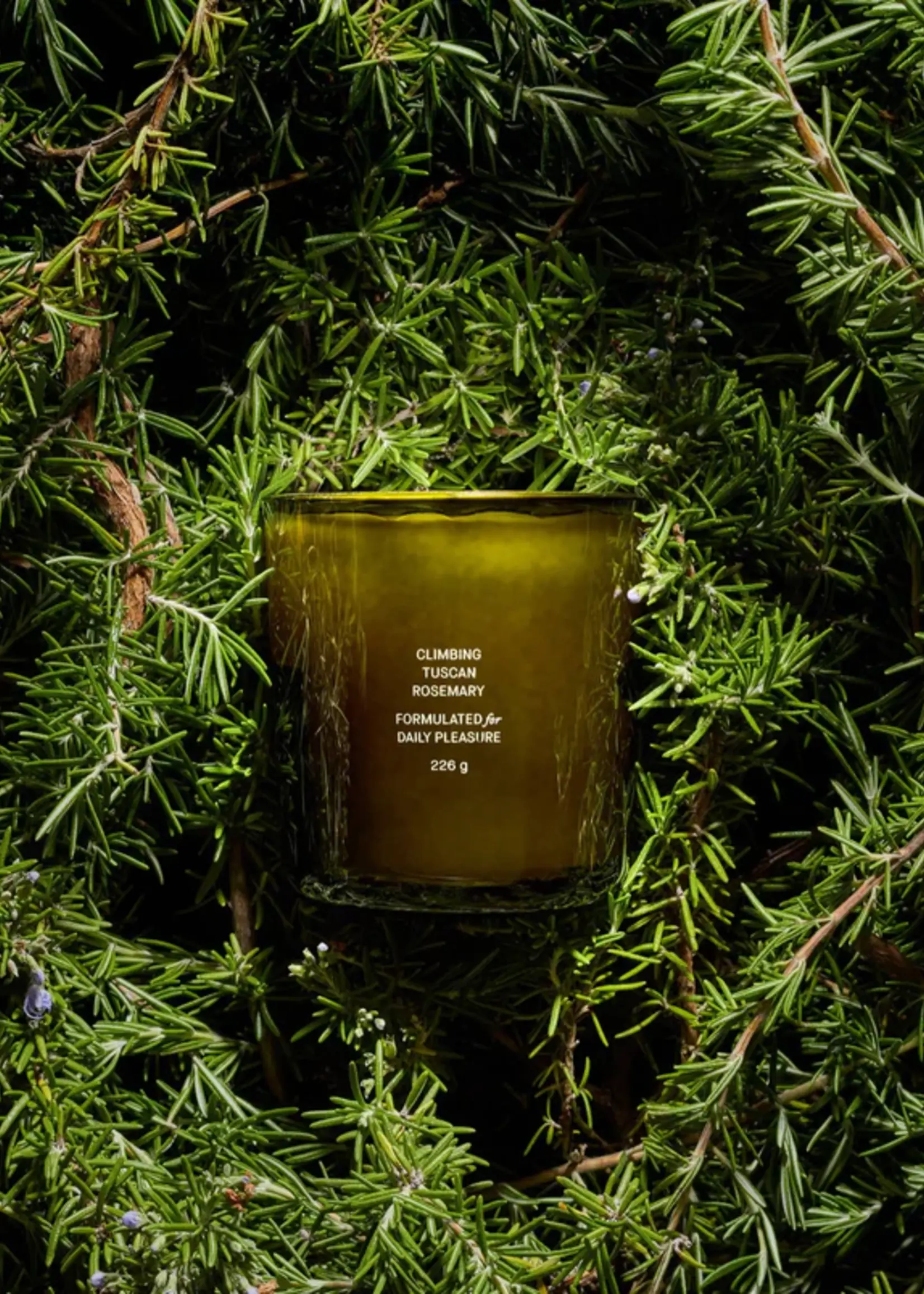 Flamingo Estate Flamingo Estate - Candle l Climbing Tuscan Rosemary