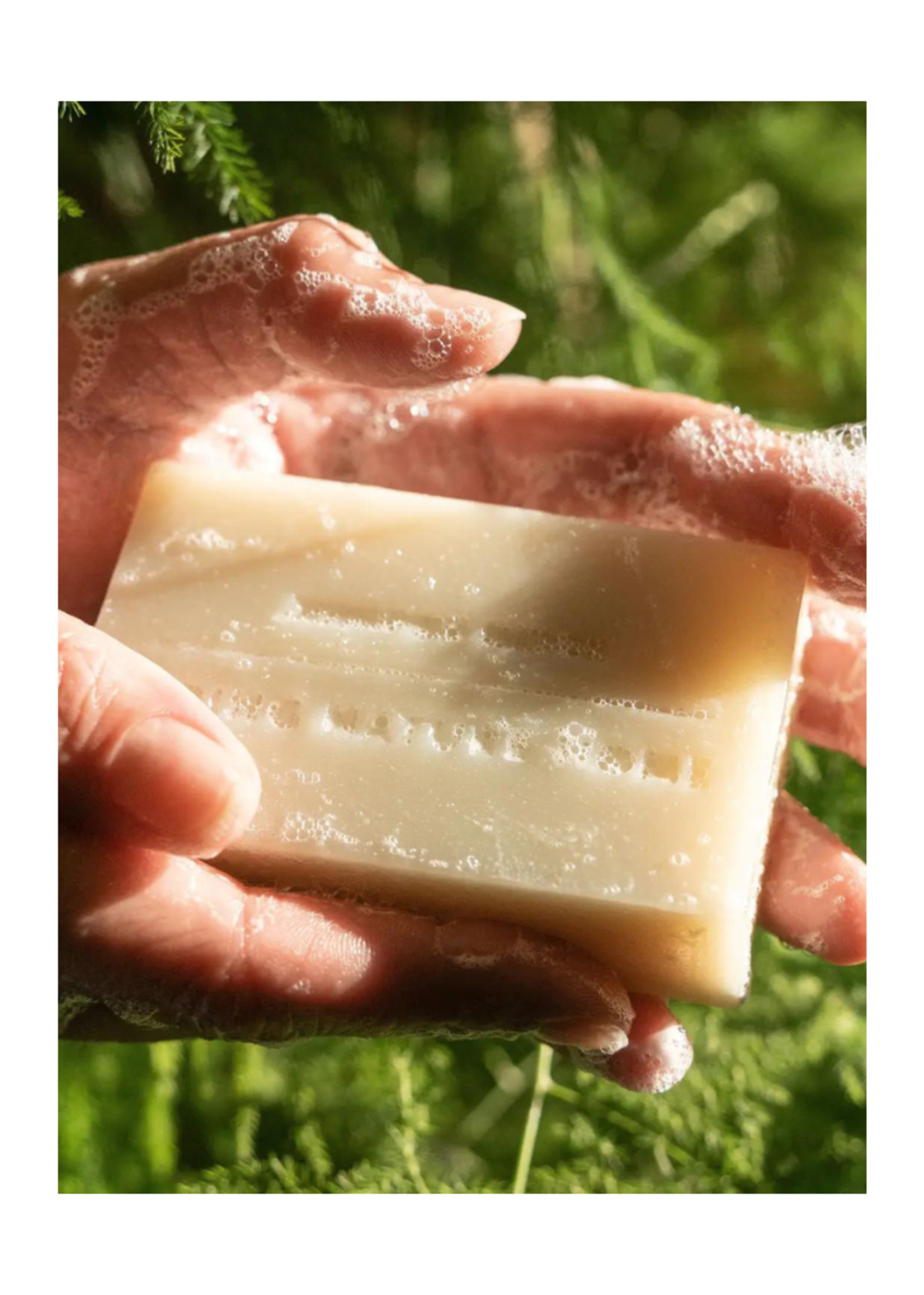 Juniper Ridge White Sage Soap