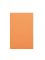 Gry Matter The Essential Linen Notebook Lined - Apricot