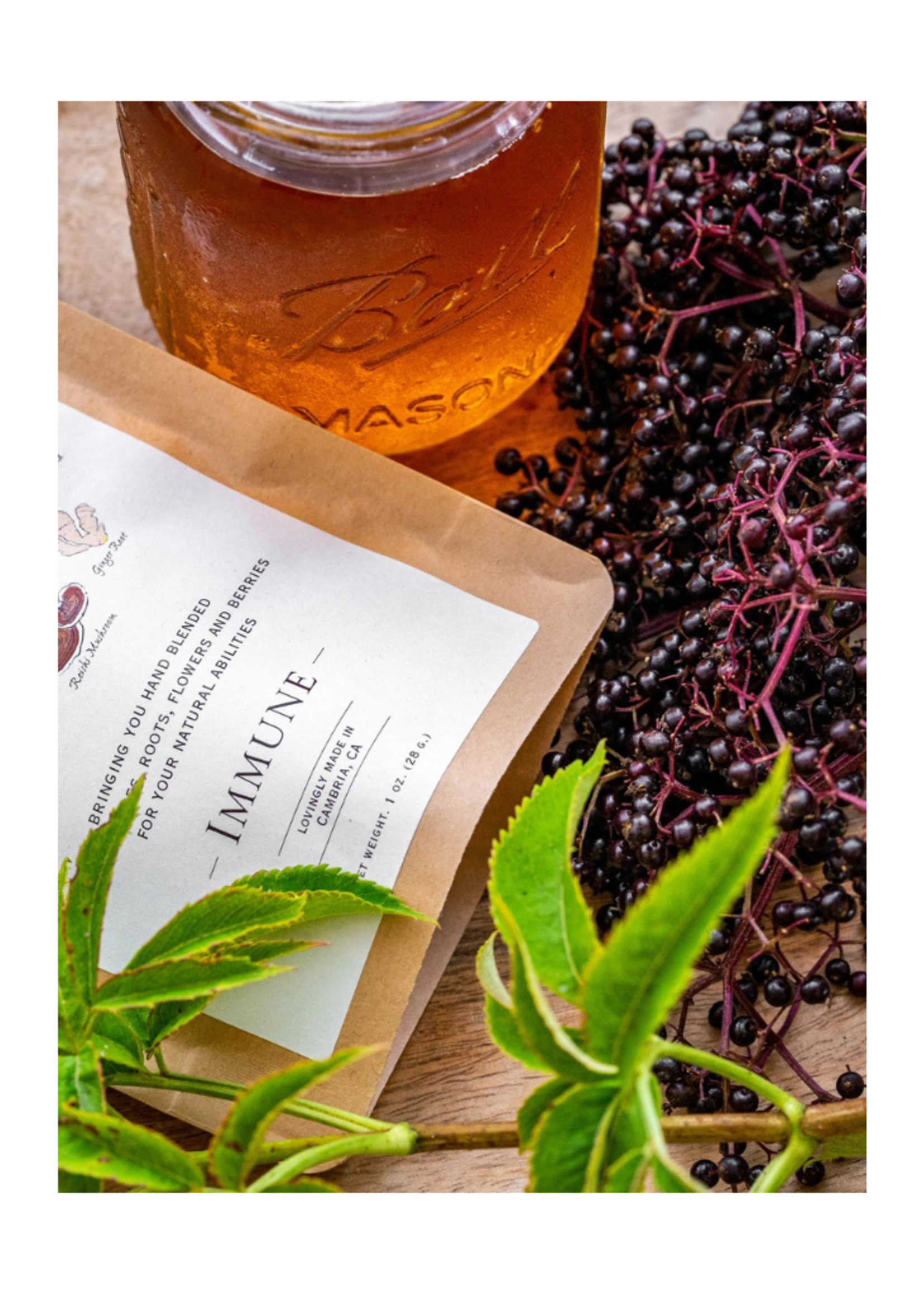 Vana Tisanes Vana Tisanes - Immune Loose Leaf Herbal Tea 4oz
