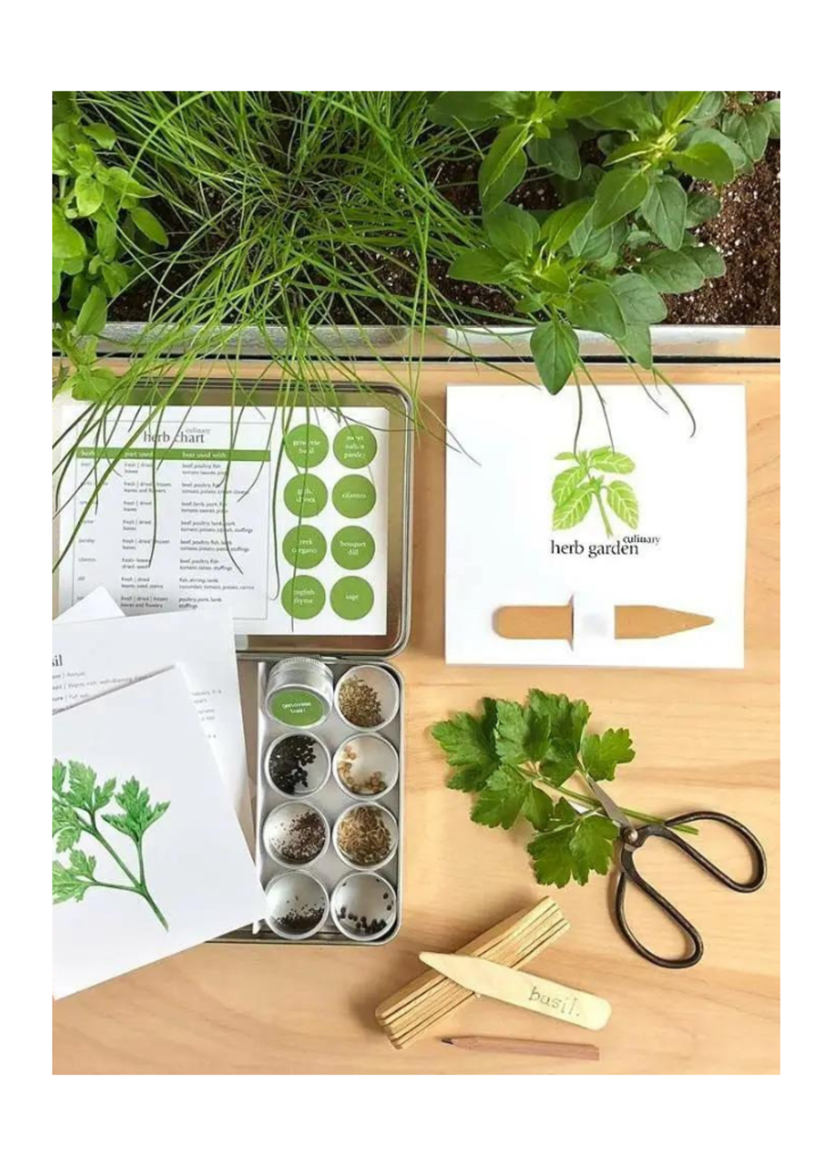 Potting Shed Creations Potting Shed - Garden Maker | Culinary Herbs