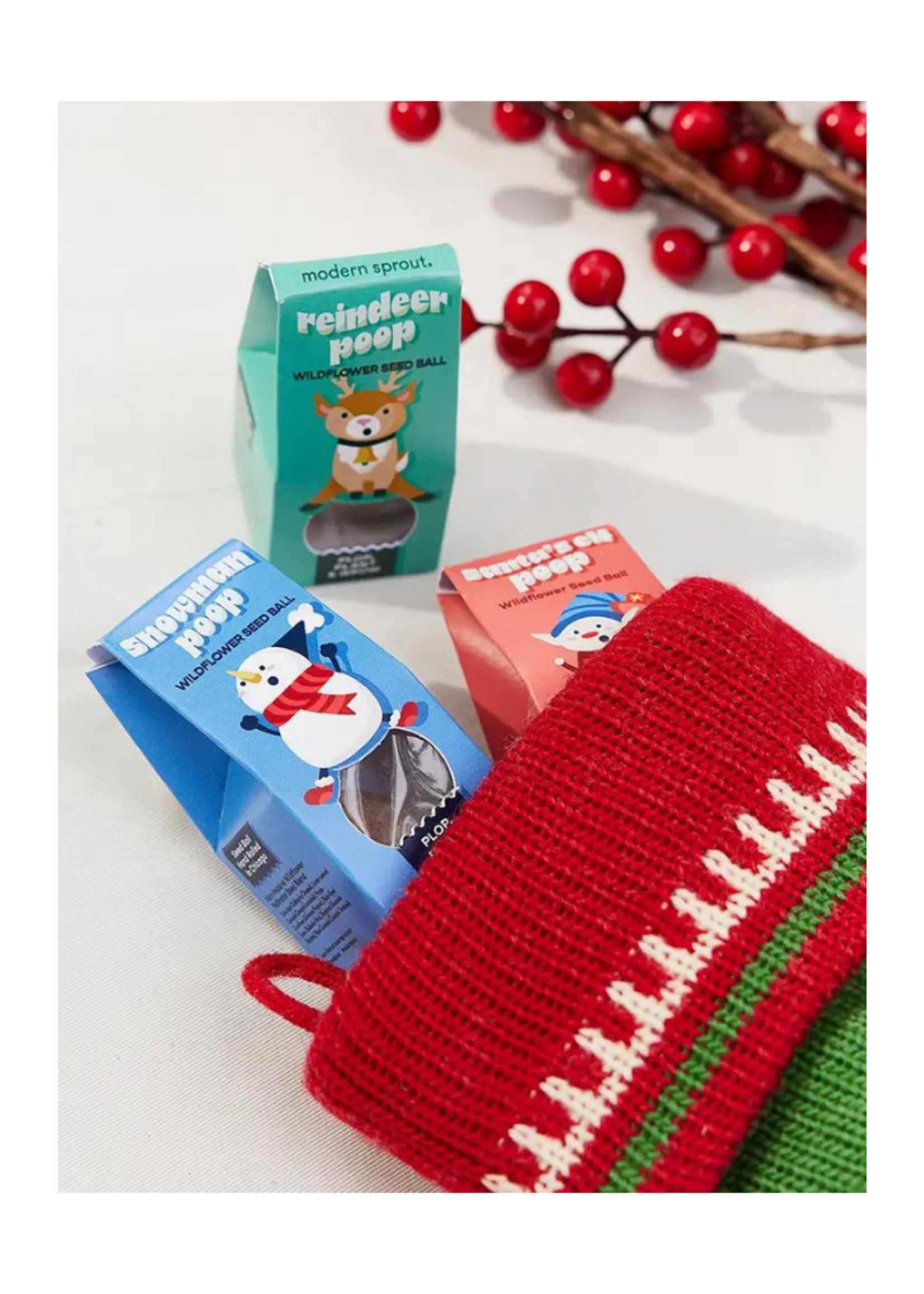 Modern Sprout Modern Sprout - Snowman Poop Wildflower Seed Ball