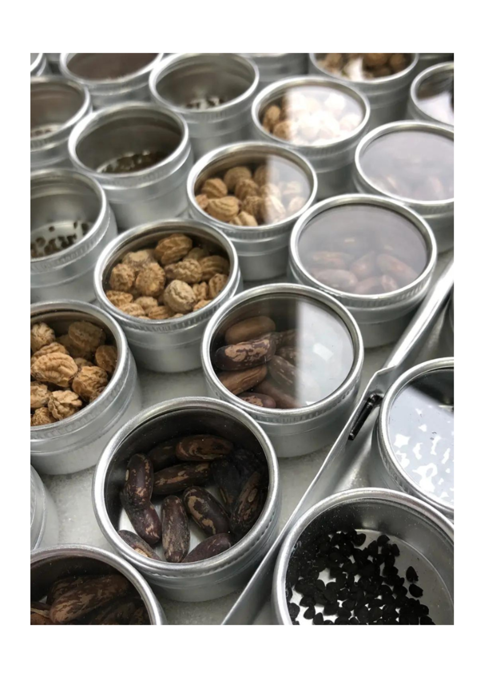Potting Shed Creations Potting Shed - Garden Maker | Farmer's Market