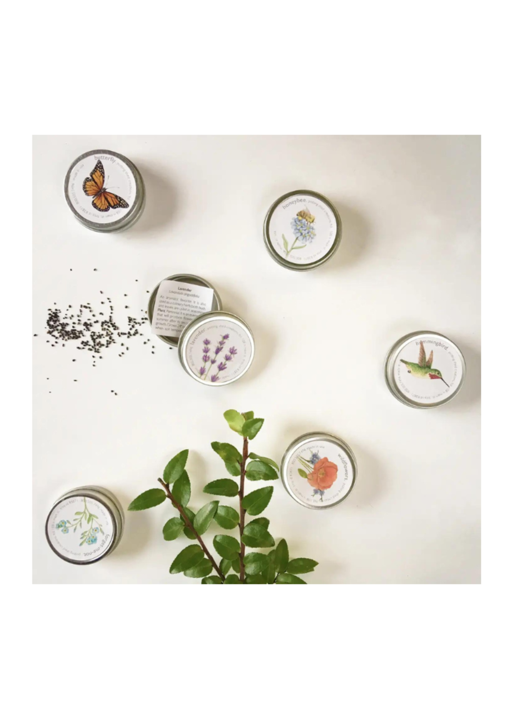 Potting Shed Creations Potting Shed - Garden Sprinkles: Lavender