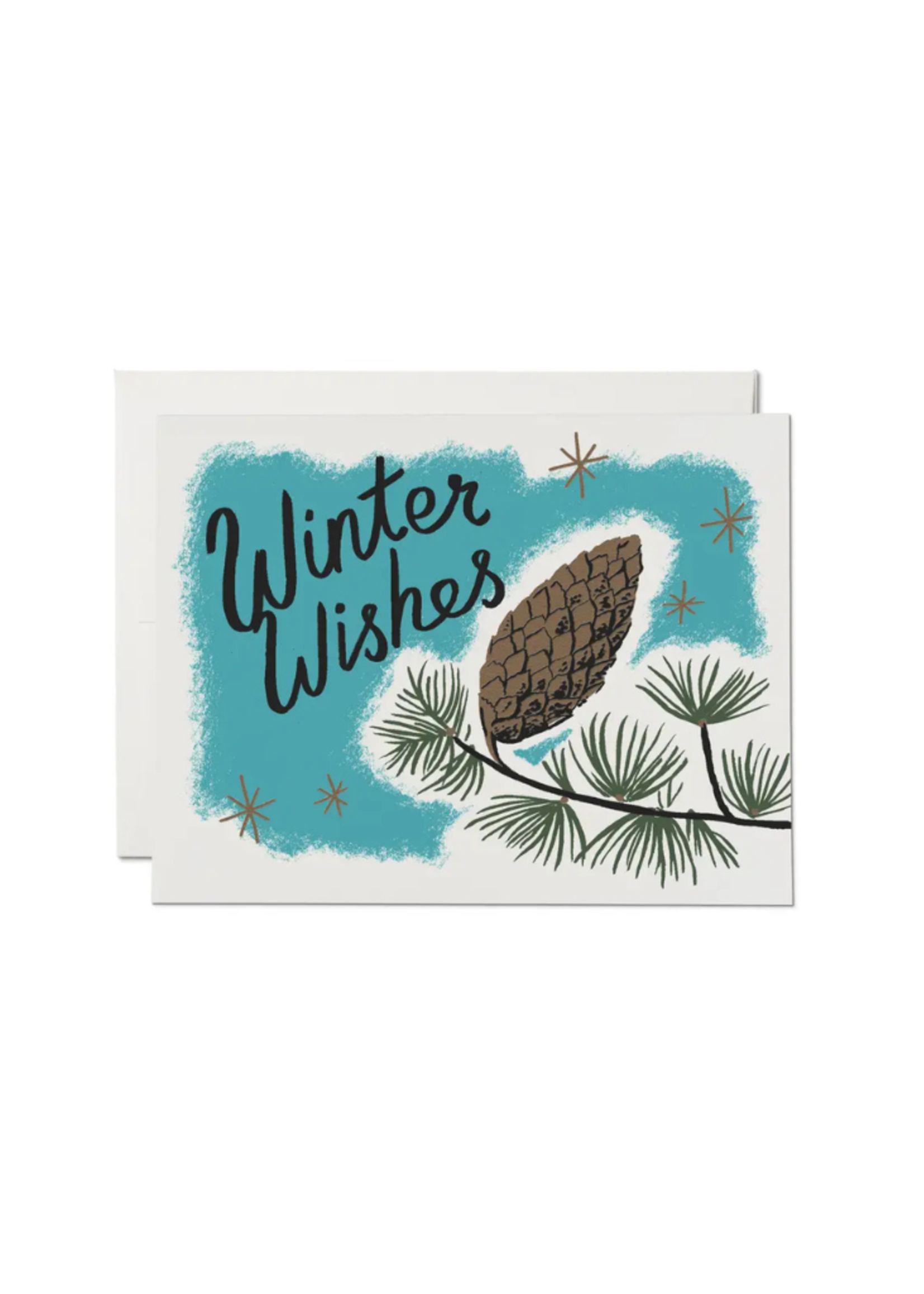 Red Cap Cards Red Cap Cards 2024 Pine Cones Boxed Holiday Greeting Cards S/8