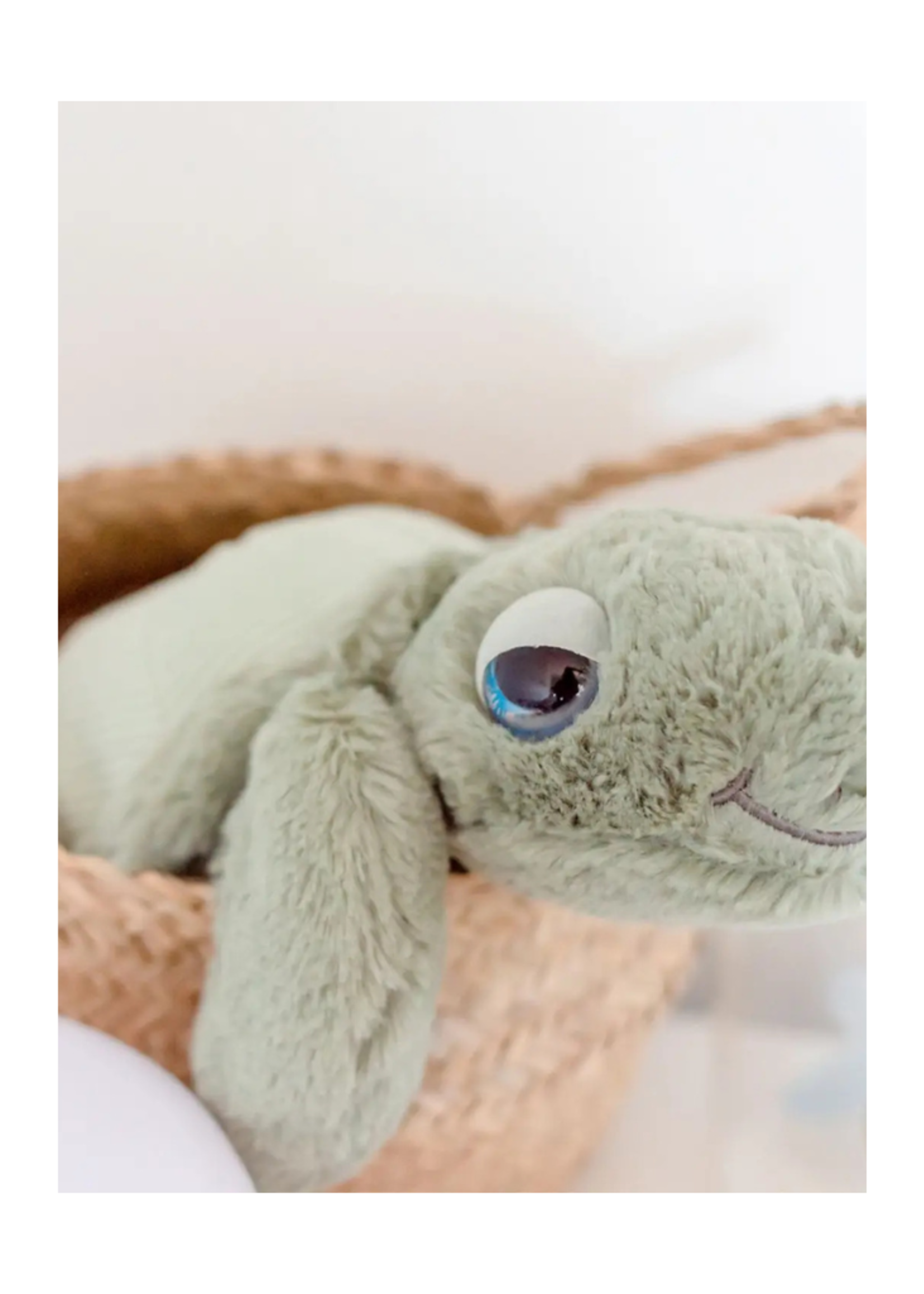 OB OB Stuffies - Tyler Turtle