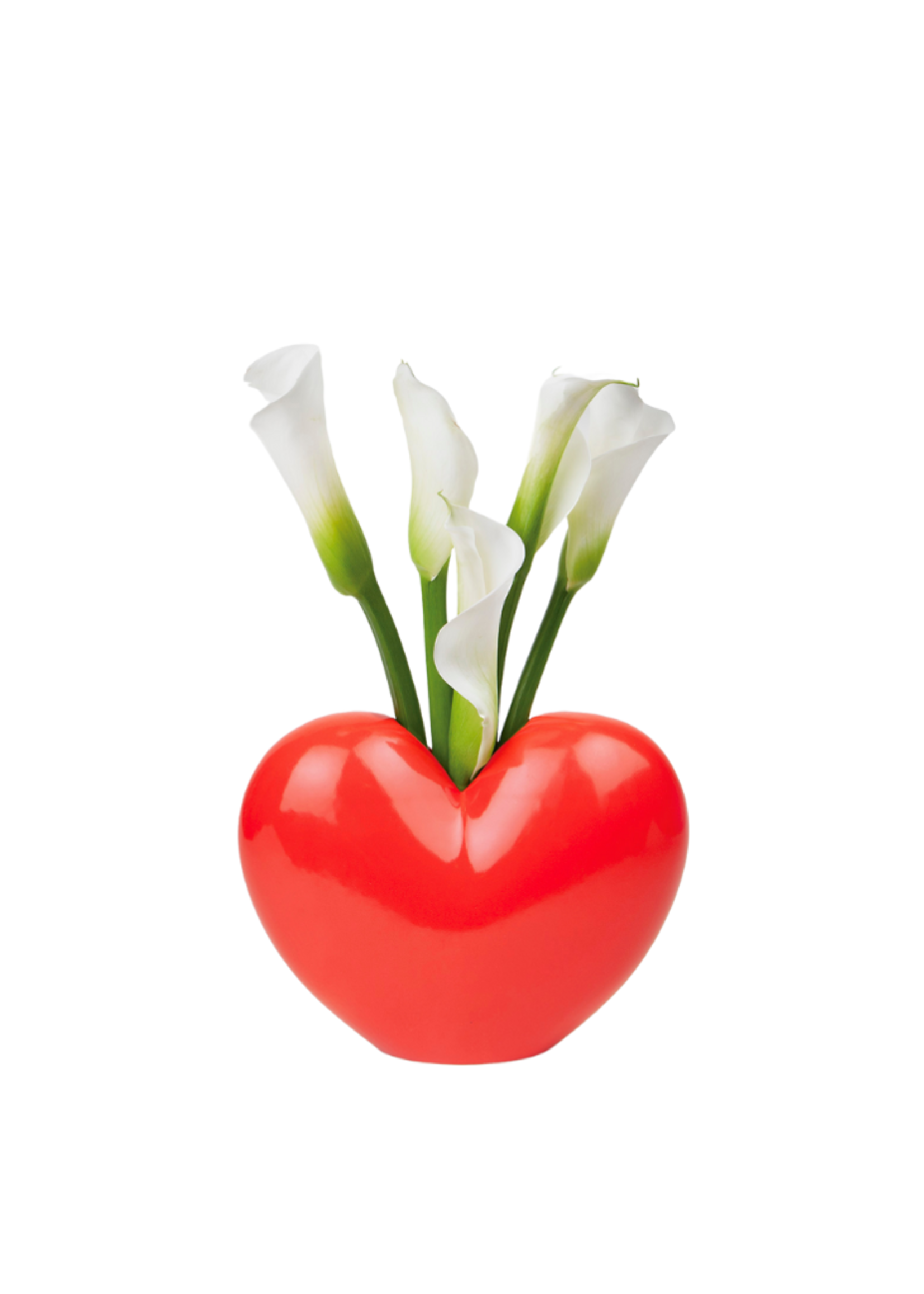 The Wow Effect The Wow Effect - DOIY VD Red Vase