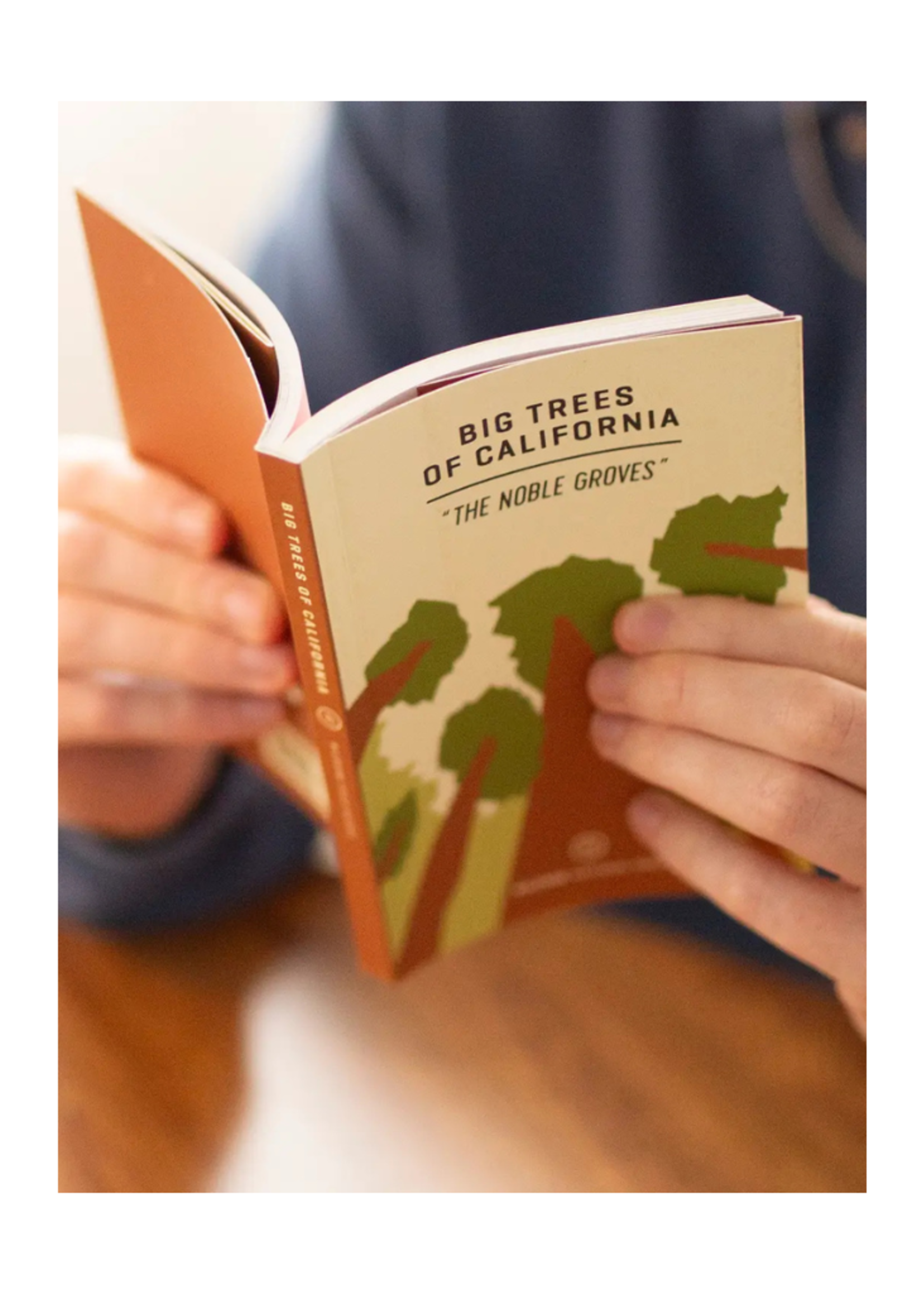 Wildsam Field Guides Wildsam Field Guides - Big Trees of California