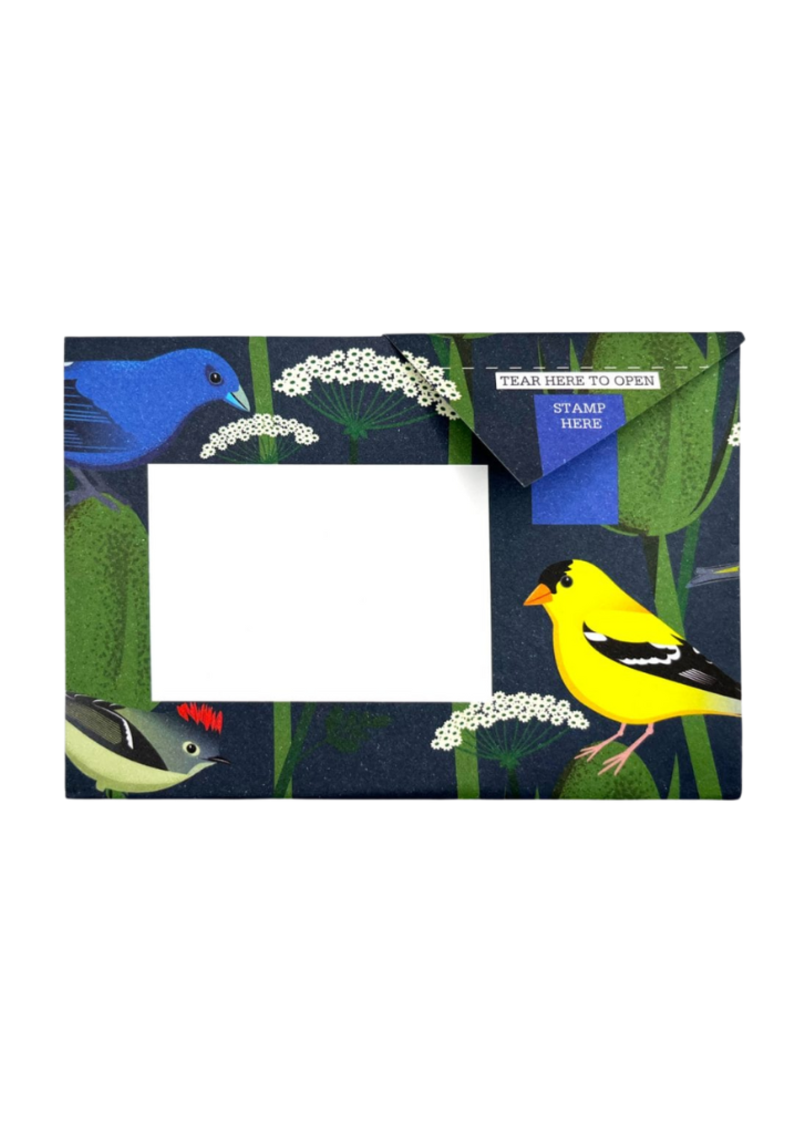 Pigeon Pigeonposted  - Carnival of Colors Pigeons Letter & Envelope in One