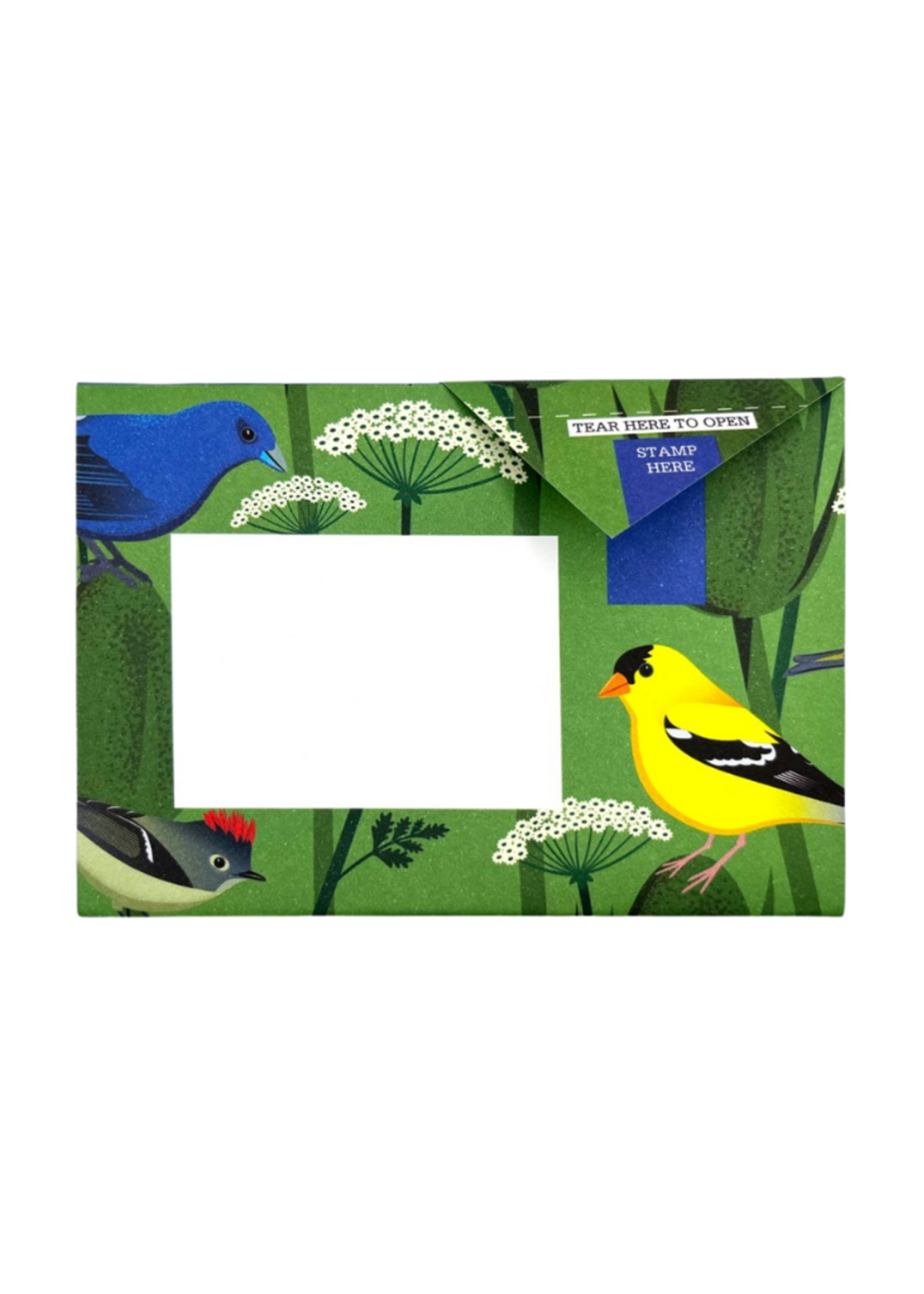 Pigeon Pigeonposted  - Carnival of Colors Pigeons Letter & Envelope in One