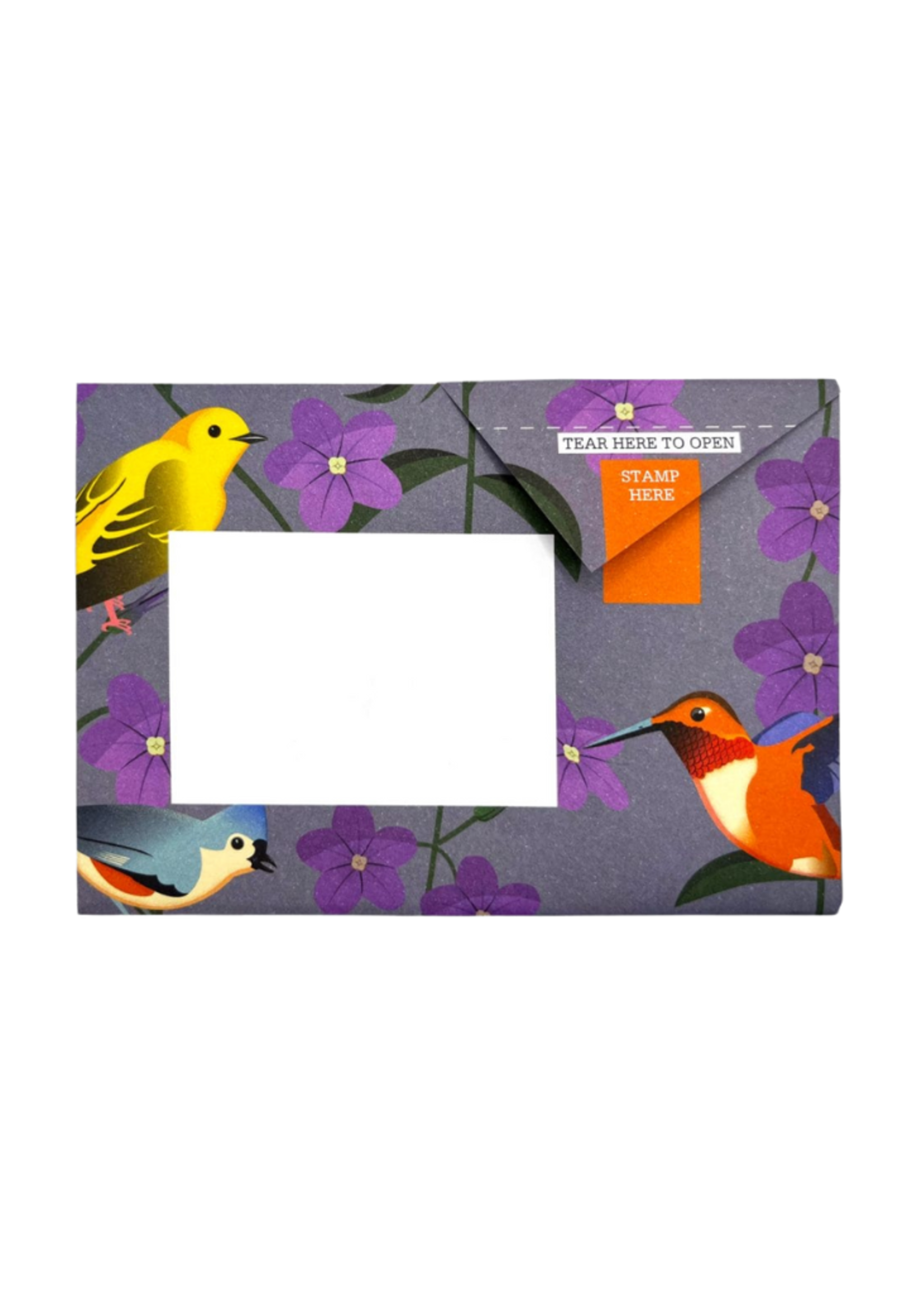 Pigeon Pigeonposted  - Carnival of Colors Pigeons Letter & Envelope in One