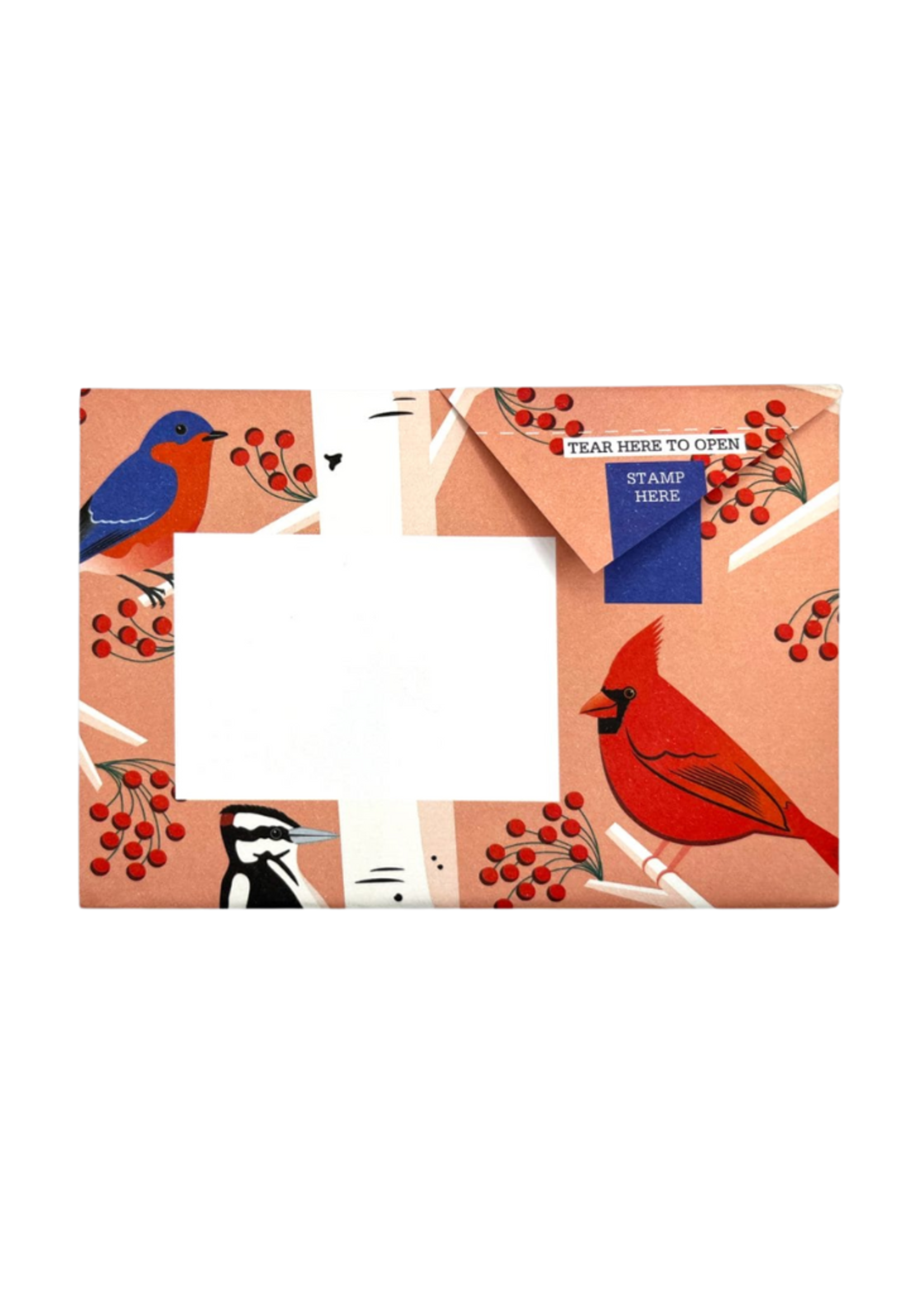 Pigeon Pigeonposted  - Carnival of Colors Pigeons Letter & Envelope in One