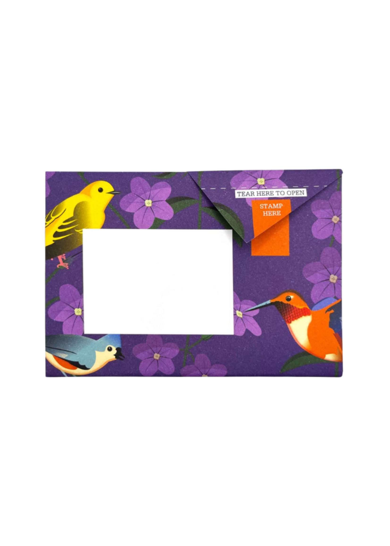 Pigeon Pigeonposted  - Carnival of Colors Pigeons Letter & Envelope in One