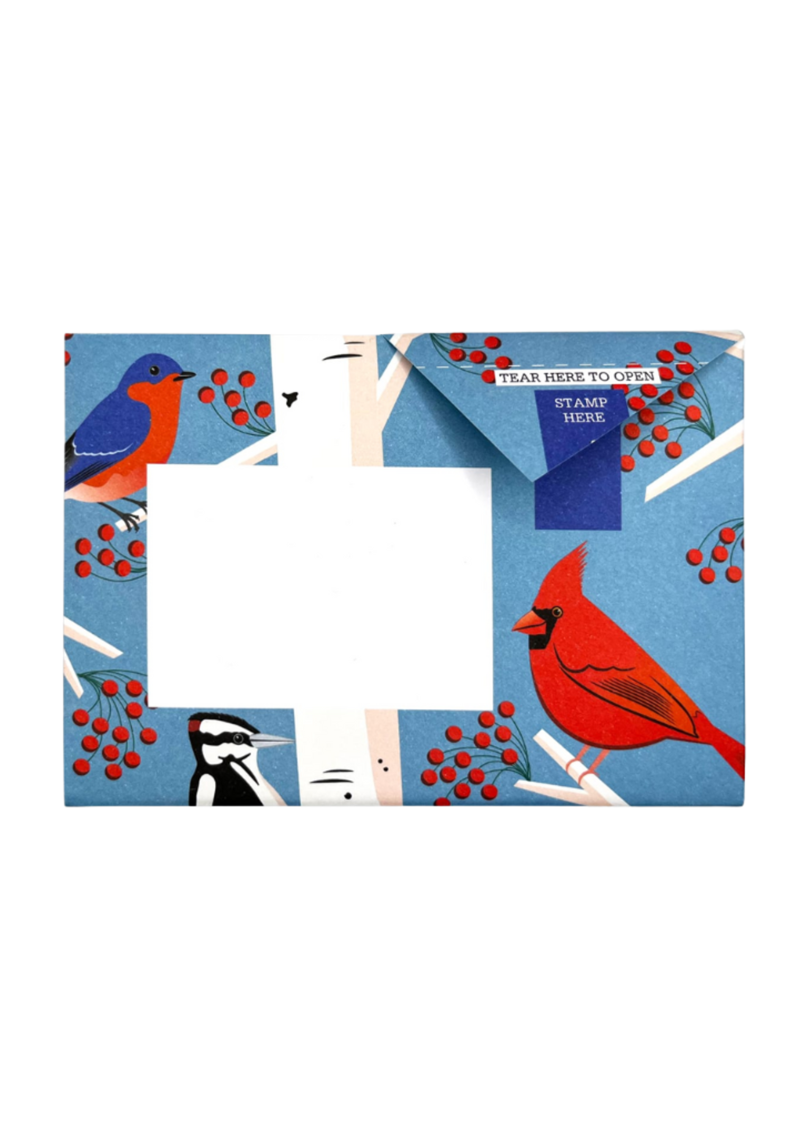 Pigeon Pigeonposted  - Carnival of Colors Pigeons Letter & Envelope in One