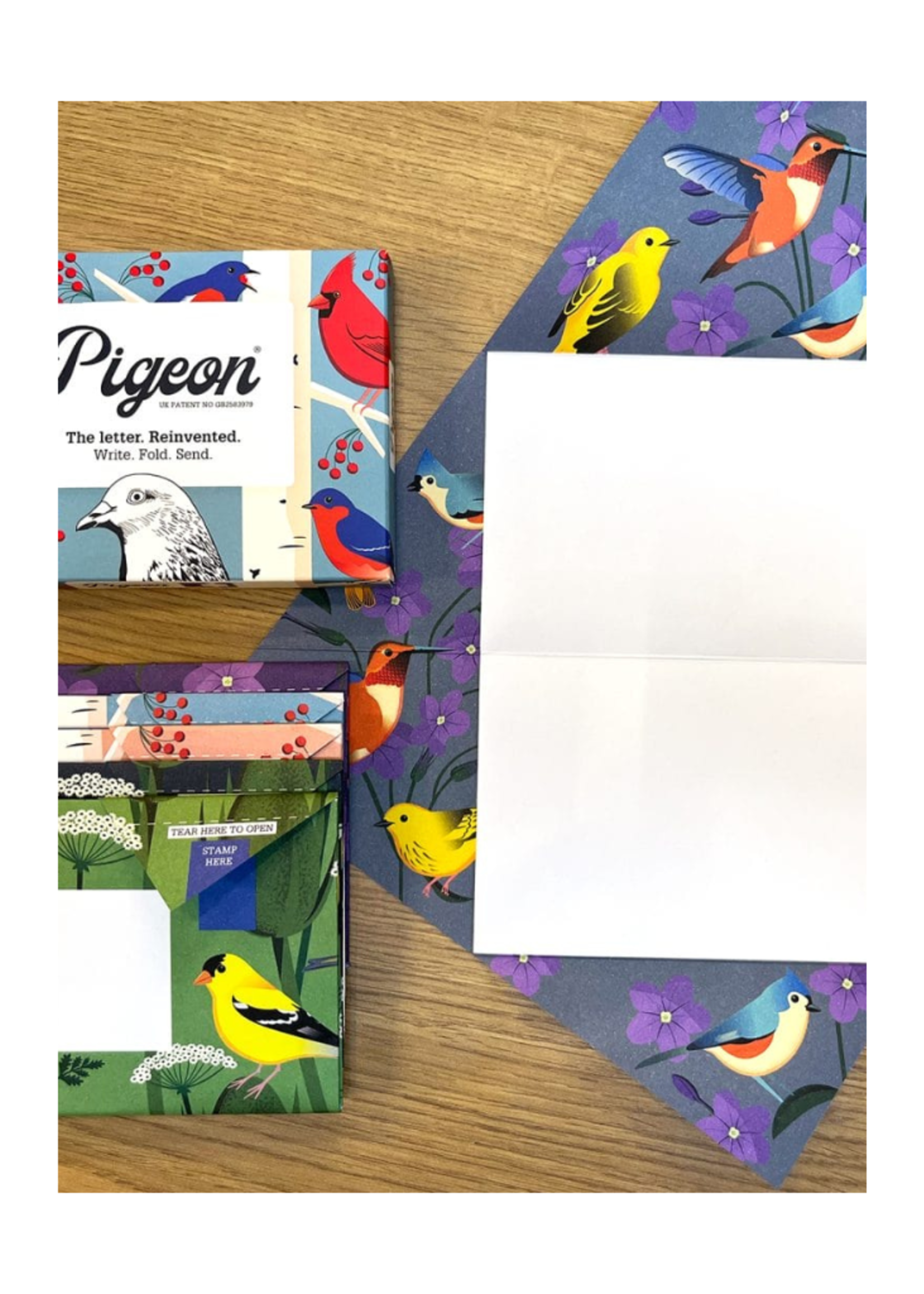 Pigeon Pigeonposted  - Carnival of Colors Pigeons Letter & Envelope in One