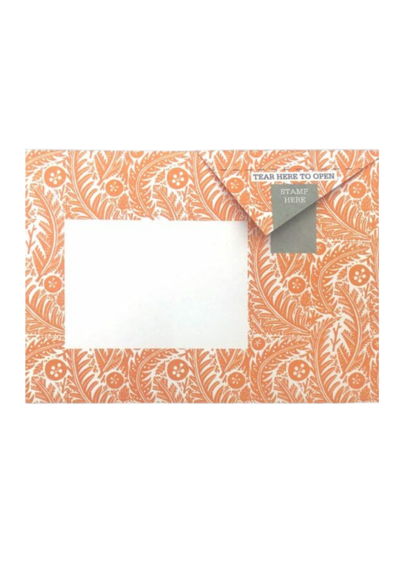 Pigeon Pigeonposted  - Nature Study Pigeons Letter & Envelope in One