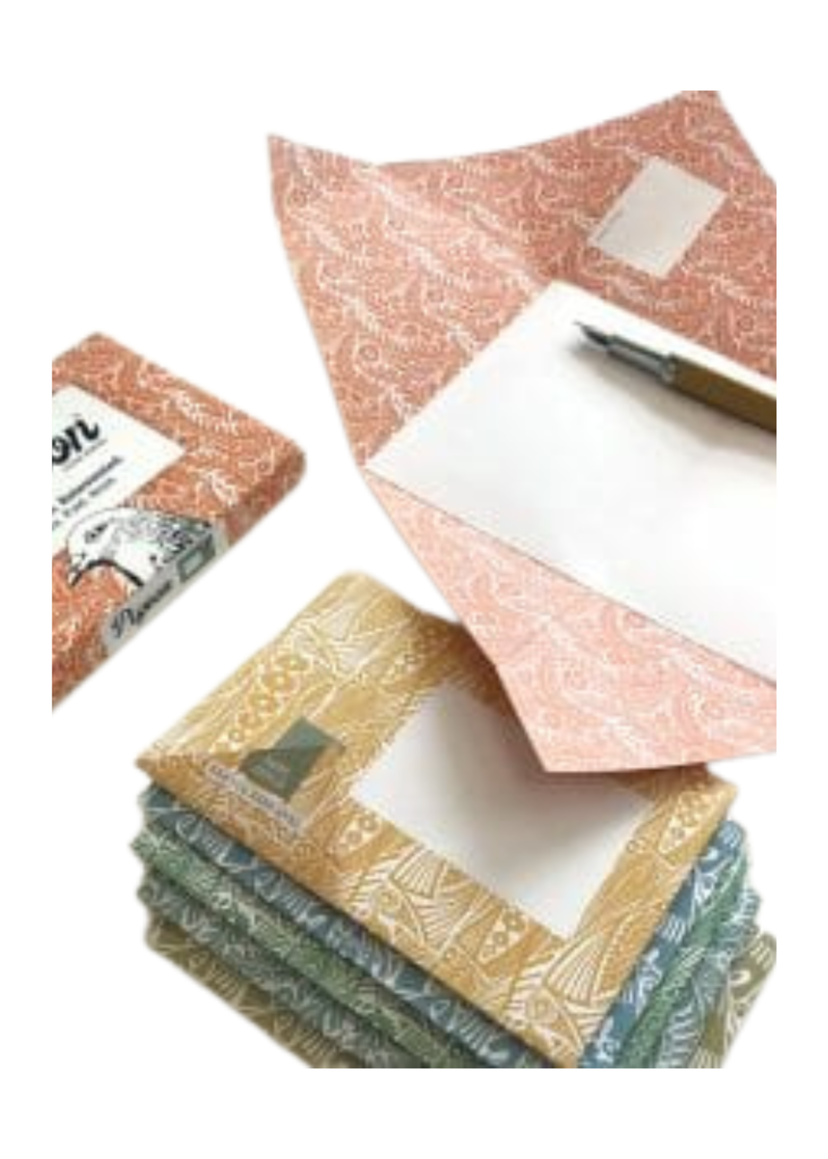 Pigeon Pigeonposted  - Nature Study Pigeons Letter & Envelope in One